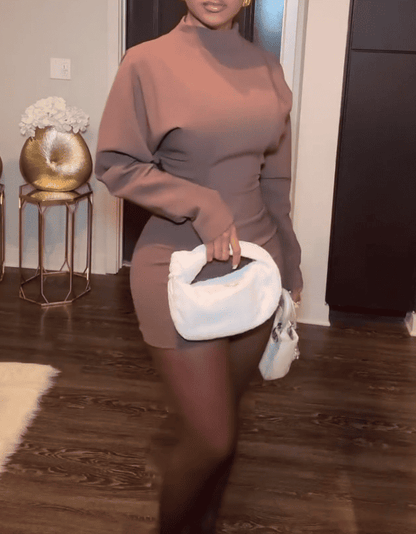 Long-Sleeve Mock Neck Plain Mini Dress