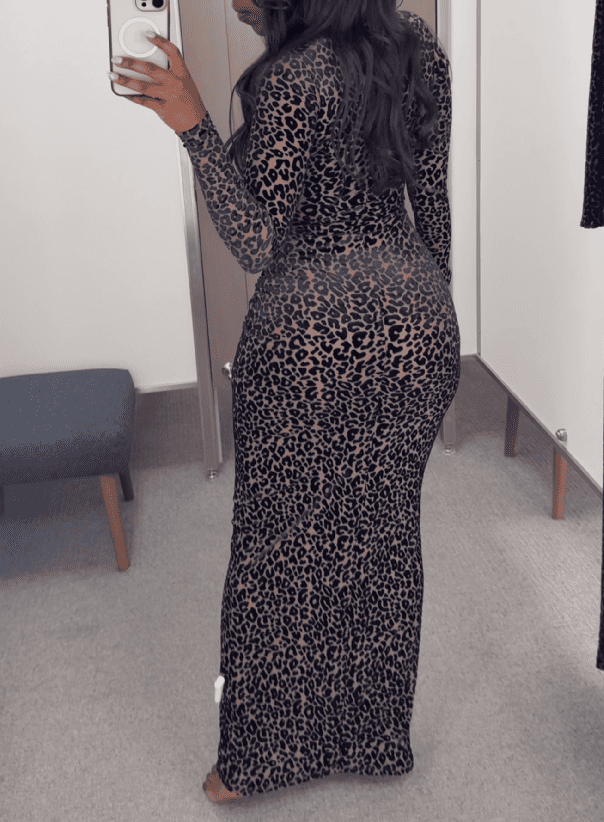 The Wild Ambition Dress